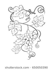 Grape Drawing, Grape Tree, Vine Drawing, Zentangle Kunst, Grape Painting, Pencil Drawings For Beginners, School Murals, Vine Tattoos, Vine Leaves