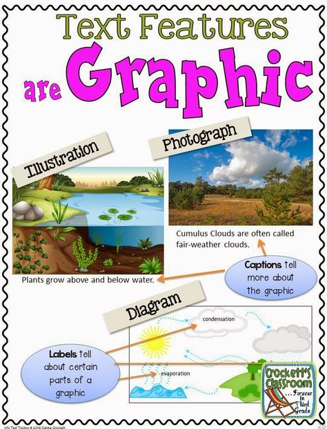 Teaching informational text just got a lot easier with this toolbox of ideas from Crockett's Classroom. Text Feature Anchor Chart, Teaching Informational Text, Nonfiction Text Features, 6th Grade Reading, Teaching 5th Grade, Classroom Anchor Charts, Reading Anchor Charts, 2nd Grade Ela, English Language Arts High School