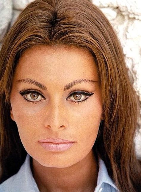 Sophia Sophia Loren Makeup, 60s Makeup, Brow Styling, Sofia Loren, Retro Makeup, Natural Redhead, Judi Dench, Pinterest Makeup, Makeup Transformation