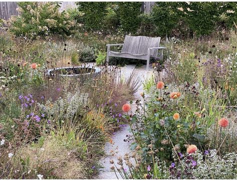 Adam Woodruff Garden Design, Rewilding Garden, Adam Woodruff, New England Garden, Australian Native Garden, Planting Design, Meadow Garden, Country Gardens, Dry Garden