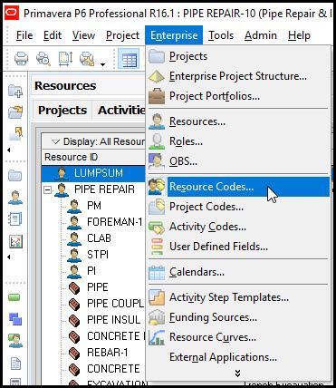 What are Resource Codes in Primavera P6? Primavera P6, Pipe Repair, Project Management, Software, Repair, Coding