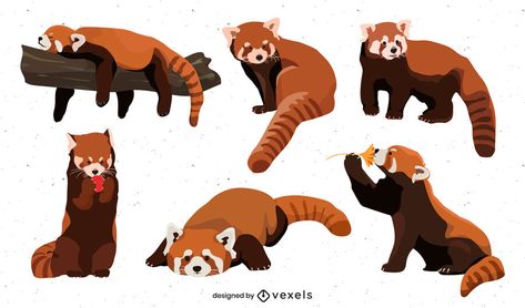 Cute flat red panda set #AD , #flat, #Cute, #panda, #set, #red Red Panda Character Design, Red Panda Fursona, Red Panda Illustration, Red Panda Cartoon, Panda Tree, Panda Clipart, Red Panda Cute, Panda Graphic, Panda Illustration