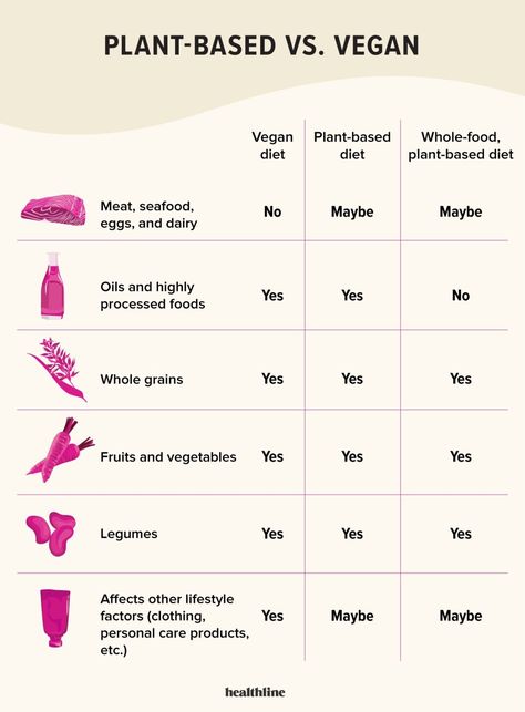 Plant-Based vs. Vegan Diet — What’s the Difference? Plant Based Vs Vegan, Beyond Diet, Boxed Mac And Cheese, Nutrition Science, Plant Based Protein Powder, Plant Based Whole Foods, Plant Based Eating, Vegan Diet, Plant Based Protein