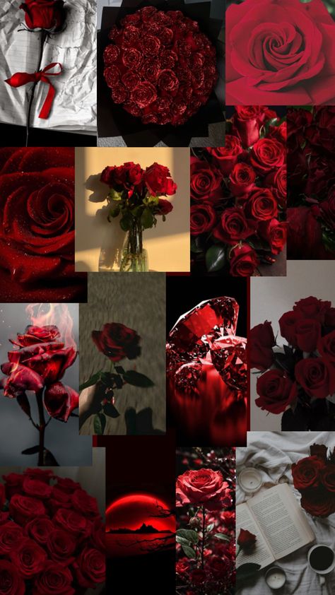 Aesthetic Red Rose Wallpaper, Red White Wallpaper Iphone, Red Rose Wallpaper Iphone, Red Roses Wallpaper Aesthetic, Red Theme Wallpaper, Wallpaper Vermelho, Roses Collage, Cheryl Blossom Aesthetic, White Wallpaper For Iphone