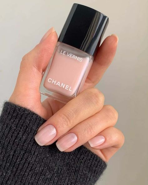 40 Prettiest Summer Nails to Inspire You Chanel Ballerina, Sheer Nails, Chanel Nail Polish, Watermelon Nails, Chanel Nails, London Nails, Summer Manicure, Nail Oil, Chanel Beauty