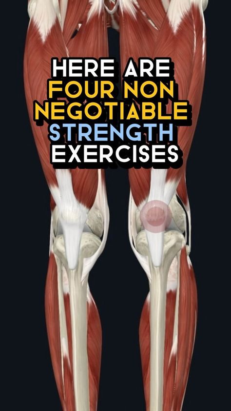 Coach Milad and Ryan ▪️Fitness and Nutrition Coach | Comment below if you need modifications ⬇️ Strengthening the knees for longevity involves exercises that target the muscles and structures... | Instagram Quads Strengthening Exercises, Seated Quad Exercises, Strengthen Thigh Muscles, Inner Knee Fat Exercises, Knee Pull Ins, Quad Strengthening Exercises, Spanish Squats, Skating Exercises, Knee Injury Workout