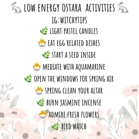 Mountain Witch, Ostara Ritual, Pagan Festivals, Pagan Spirituality, Wiccan Magic, Wiccan Spell Book, Light Ideas, Spring Equinox, First Day Of Spring