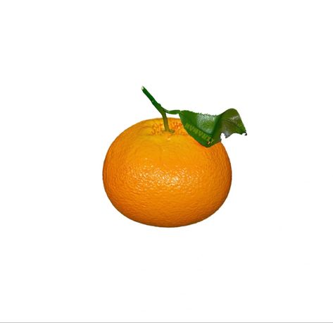 Png Pfp, Food Icon Png, Orange Png, Orange Icons:), Fruit Icons, Food Icon, Overlays Cute, Book Wallpaper, Iphone App Design