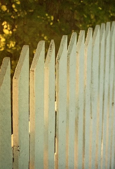 Picked Fence Picket Fence Aesthetic, Country Romance, White Picket Fence, Sea To Shining Sea, Country Charm, Picket Fence, Fence Gate, Farms Living, Down On The Farm