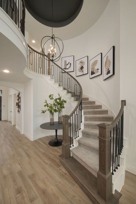 Round Staircase Railing Design, Curved Staircase Ideas, Stairway Wall Decorating Ideas, Curved Staircase Foyer, Decorating Stairway Walls, Entryway Stairs, House Staircase, Open Staircase, Entry Stairs