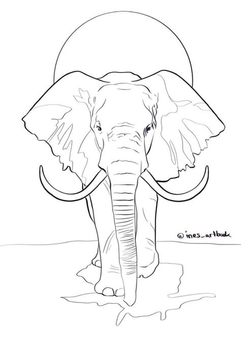 Elephant Outline, Elephant Sketch, Realistic Animal Drawings, Cricut Stencils, African Paintings, Elephant Drawing, Outline Designs, Elephant Painting, Animal Designs