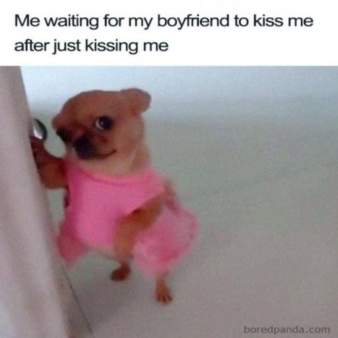 Wholesome Relationship, National Boyfriend Day, Boyfriend Day, Friendship Memes, Work Wife, Funny Relationship Memes, Friendship Humor, Boyfriend Memes, Boyfriend Quotes