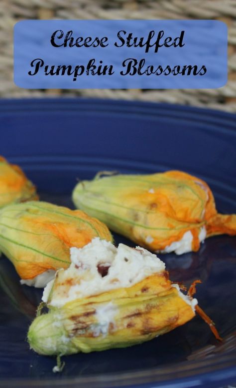 Cheese Stuffed Pumpkin Blossoms 185a Stuffed Pumpkin Blossoms, Pumpkin Flower Recipe, Pumpkin Blossom Recipe, Pumpkin Blossoms, Pumpkin Flowers, Yellow Pumpkin, Stuffed Pumpkin, Frozen Pumpkin, Food Italian