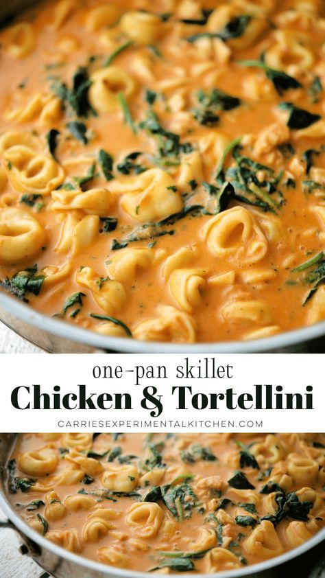 Skillet Chicken And Ravioli, Tortellini With Blush Sauce, Chicken And Garlic Tortellini Recipes, Italian Chicken Tortellini Skillet, Instant Pot Chicken And Tortellini, Shrimp And Chicken Tortellini, Creamy Chicken And Tortellini, Recipes Using Tortellini And Chicken, Tortellini Rotisserie Chicken