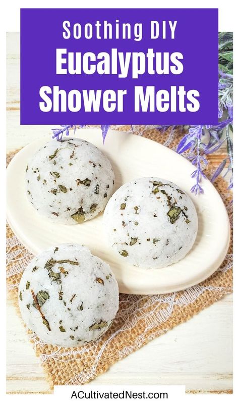 Eucalyptus Shower Melts, Shower Steamers Diy, Diy Eucalyptus, Clear Your Sinuses, Shower Fizzies, Shower Melts, Shower Tablets, Bath Melts, Dried Eucalyptus