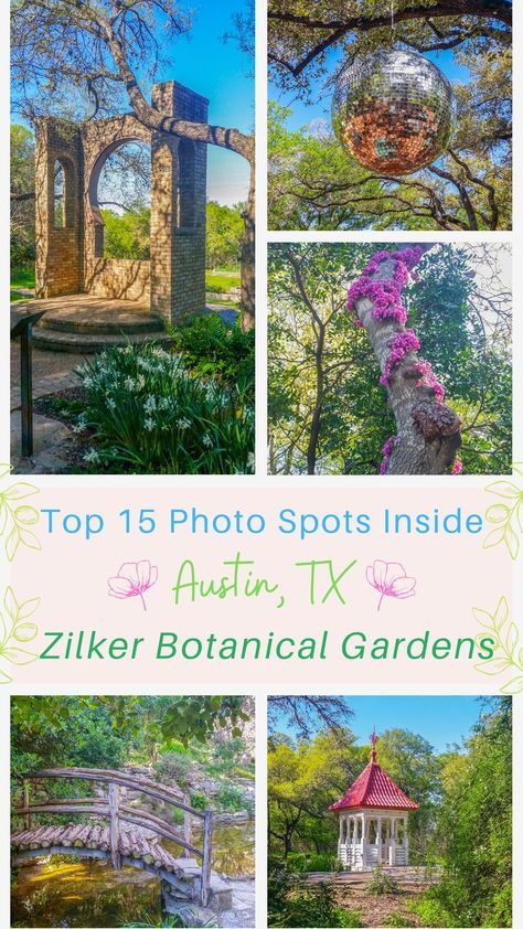 In this blog post I’ll break down the best photo spots to plan your photo shoot with a photographer inside Zilker Botanical Garden. Each one has its own vibe and provide different types of natural backdrops. At the bottom of the blog post there’s also answers to frequently asked questions about visiting and taking professional photos inside the gardens. #austin #zilkerpark #zilkerbotanicalgarden Zilker Botanical Garden, Austin Texas Travel, Botanical Gardens Wedding, Spring Park, Beautiful Travel Destinations, Garden Photography, Texas Travel, Gorgeous Gardens, United States Travel