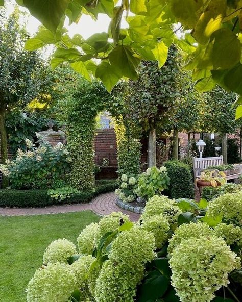 Backyard Orchard, Courtyard Ideas, Small Courtyard, Future Garden, Garden Inspo, Yard Landscape, Cottage Garden Design, Gardens Design, Have Inspiration