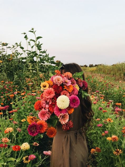 VSCO - ckrispy Nothing But Flowers, Flower Therapy, Bouquet Of Flowers, Flower Farm, Love Flowers, Cut Flowers, My Flower, Green Thumb, Pretty Flowers