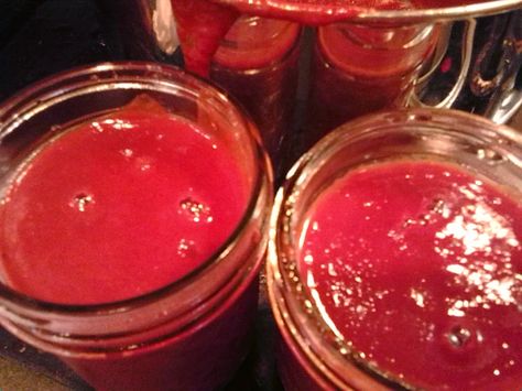 Southern Forager: Autumn Olive Ketchup - A Great Recipe! Forage Recipes, Olives Recipes, Make Ketchup, Edible Recipes, Autumn Olive, Canning Ideas, Wild Food Foraging, Fantasy Food, Edible Wild Plants