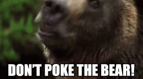 Dont Poke The Bear Quotes, Poke The Bear Quotes, The Bear Quotes, Bear Quotes, Dont Poke The Bear, Poke The Bear, Bear Gif, Bear Quote, The Bear