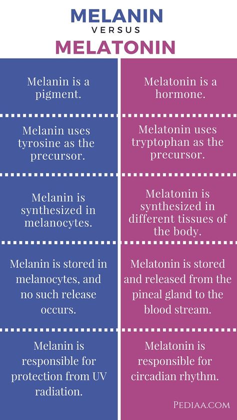 What Is Melanin, Neet 2025, Neet Biology, Medical Terminology Study, Biochemistry Notes, Melanin Skin, Study Biology, Biology Facts, Medical Student Study