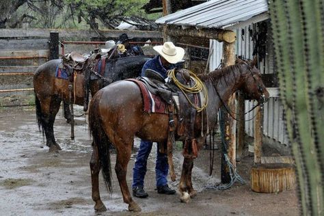 Ranch Horses, Cowboy Culture, Cowboy Photography, Cowboy Life, Cowboy Ranch, American Cowboy, Cowboy Pictures, Real Cowboys, Black Cowboys