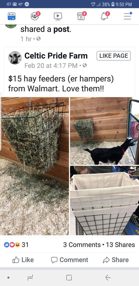 Diy Livestock Feeder, Outdoor Hay Feeder, Diy Hay Feeder Rabbit, Goat House Ideas, Bathroom Design Farmhouse, Boho Bathroom Design, Rabbit Colony, Goat Feeders, Sheep Feeders