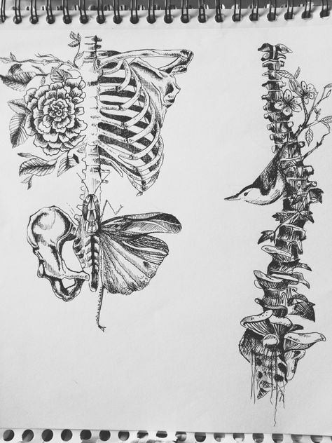 There's something about this kind of drawings that makes my bones feel warm and artsy Spine Drawing, Flowers Sketch, Ideas For Flowers, Sketch Tattoo, Tree Of Life Tattoo, Desenho Tattoo, A Skeleton, Skull Drawing, Arte Sketchbook