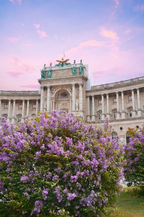 Vienna Austria Aesthetic Summer, Vienna Austria Summer, Vienna Travel Aesthetic, Vienna Summer Aesthetic, Vienna Austria Aesthetic, Library Vienna, Vienna Summer, Austria Aesthetic, Vienna Aesthetic