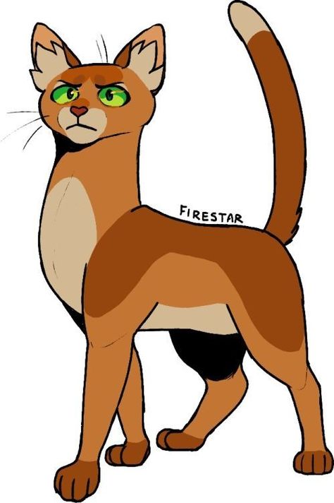 Warrior Cats Fireheart, Icarus Moodboard, Firestar Warrior Cats, Nifty Senpai, Warrior Cat Designs, Cat Medicine, Warrior Cats Comics, Golden Warriors, Pet Frogs