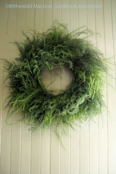 Dried Asparagus Fern, What To Do With Asparagus, Fern Arrangements, Herb Wreaths, Fern Wreath, Wreath Workshop, Herb Wreath, Dried Wreath, Everyday Wreaths