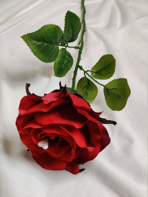 These stunning luxury roses are available in Red, White and Rainbow and are presented in tapered single stem box. Each Rose measures 10cm in diameter and has a pearl heart in the centre. This Everlasting Roses would make a romantic gift for a for Valentine's or as an Engagement gift. The black tapered single stem box is 62cm Long and has a matching bow detail for the rose colour selected. Each of our unique arrangement is handmade in the UK by me, a fully qualified florist. * We are unable to of Single Rose Gift, Single Rose Bouquet, Stem Boxes, Rose Valentine, Valentine Flowers, Luxury Roses, Wedding Flowers Sunflowers, Best Rose, Rainbow Roses