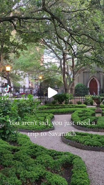 Savannah Georgia on Instagram: "I'm not saying this will work for everyone. But Savannah sure makes me happy 💜

.
.
.
.
.
.
.
.
.
#happy #savannah #southern #travel #visitsavannah #thesavannahlady #georgia" Savannah Gardens, Southern Travel, Visit Savannah, Side Garden, Savannah Georgia, Make Me Happy, Savannah, Savannah Chat, Charleston