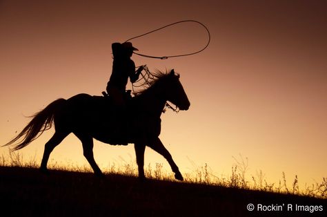 Cowgirl Roping Senior Photos R Image, Cowgirl Art, Country Western, Landscape Pictures, Horse Pictures, Senior Photos, Rodeo, Senior Pictures, Horses