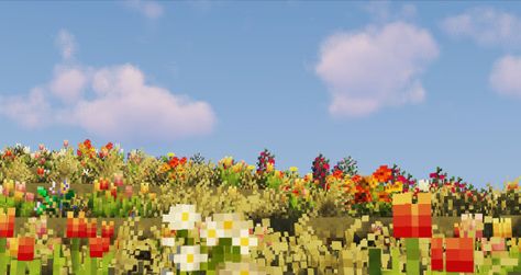 ☃️ Minecraft Flower Field, No Support, Pumpkin Stem, Computer Backgrounds, Wallpaper For Your Phone, Minecraft Houses, Flower Field, Up To Date, Cover Photos