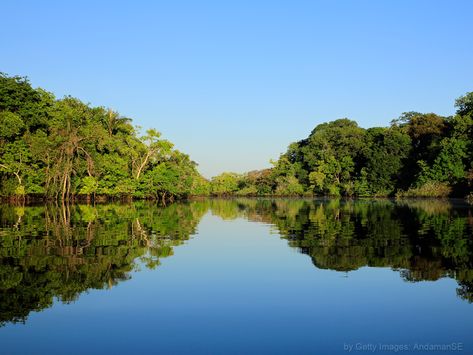 SAIBA PORQUE A FLORESTA É IMPORTANTE PARA O SISTEMA HÍDRICO. Amazon River Cruise, Puerto Maldonado, Amazon Forest, Water Boat, Brazil Travel, Amazon Rainforest, Tropical Rainforest, Walking In Nature, Garden Design