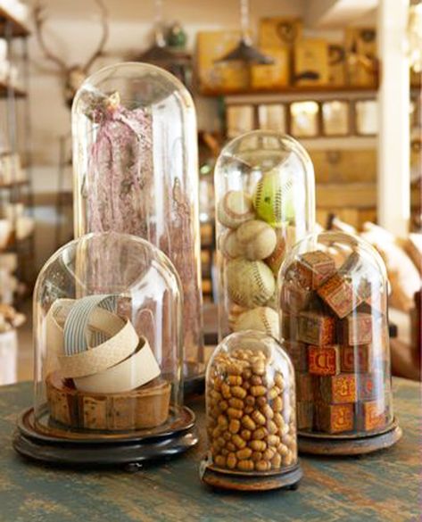 18 CREATIVE COLLECTION DISPLAY IDEAS - Arrow Hill Cottage Cloche Display, Cloche Ideas, Display Collections, Glass Cloches, Cloche Decor, Bell Jars, Glass Dome Cloche, Jar Display, Glass Dome Display