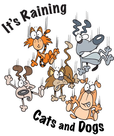 It's Raining Cats and Dogs here!! - Mommies Reviews Cold Weather Funny, It's Raining Cats And Dogs, Good Morning Rainy Day, Dog Clip Art, Good Morning Funny Pictures, Dogs Laughing, Cat Humor, Raining Cats And Dogs, Good Morning Funny