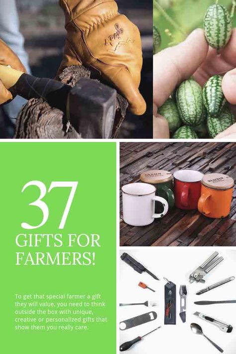 Discover the greatest gifts for farmers here in our epic guide that is packed full of unique gift ideas for farmers. Check them out today! Gifts For Farmer Boyfriend, Farmer Boyfriend Gifts, Farmer Gifts For Him, Gifts For A Farmer Man, Farmer Sayings Quote, Mother’s Day Gift Ideas For Gardener, Female Farmer, Trending Christmas Gifts, Work Anniversary