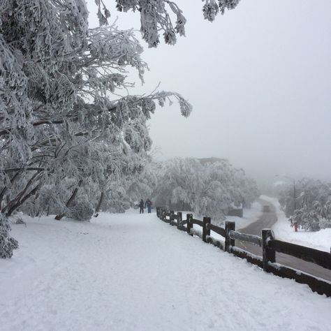 Winter and snowing at Mount Buller, Melbourne Australia. Winter In Melbourne, Mount Buller, Australia Snow, Melbourne Winter, Winter In Australia, Fav Place, Inspiring Photos, Favorite Season, Melbourne Australia