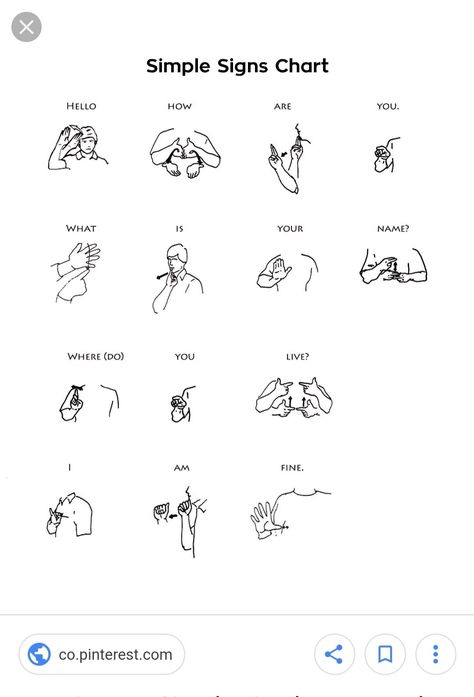 Sing Language Curse Words, I Like You In Sign Language, I Miss You In Sign Language, How To Say My Name Is In Sign Language, How Are You Asl, Good Morning Sign Language, Sign Language Curse Words, Curse Words In Sign Language, Basic Sign Language For Beginners