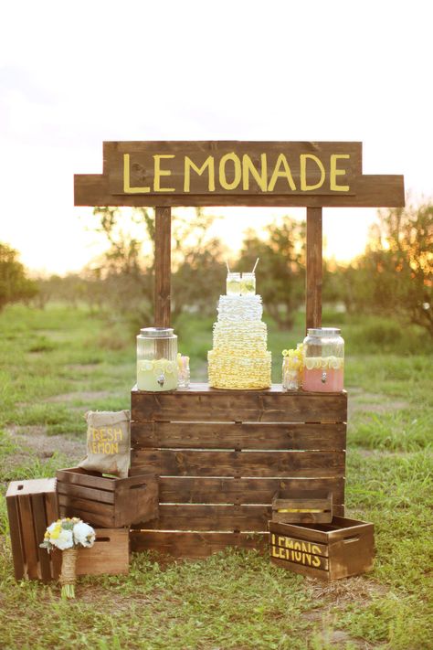 Reception Drink Station, Limonade Bar, Lemonade Wedding, Lemonade Bar, Reception Drink, Lemonade Party, Dogwood Blossoms, Picnic Wedding, Drink Station