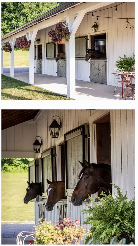 Horse Stall Aesthetic, Equestrian House Exterior, Beautiful Horse Stables, Horse Boarding Facility Ideas, Bloxburg Farm Ideas, Small Stall Design, Farm Yard Ideas, Run In Shed For Horses, Horse Barns Ideas