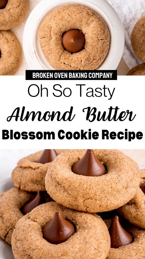 Almond Butter Blossoms, Almond Butter Blossom Cookies, Chocolate Kiss Cookies, Christmas Cookie Recipes Holiday, Peanut Butter Blossom Cookies, Almond Butter Cookies, Recipes Holiday, Chocolate Pairings, Blossom Cookies