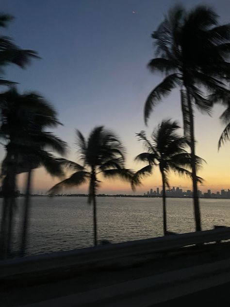 Miami Beach Pictures, Brickell Miami, Miami Sunset, Miami Girls, Beach Icon, Beach At Night, Aesthetic City, Dark City, Sunset Pictures