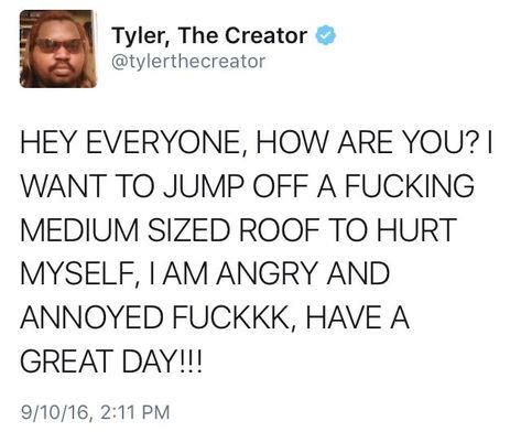 Tyler The Creator Tweets, I Am Angry, Tyler The Creator, Music Stuff, True Quotes, Mood Pics, Eos, I Laughed, Aesthetic Pictures