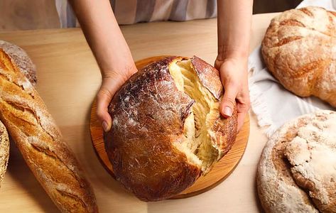 Girl holding a huge rich loaf of homemade Himalayan Tartary Buckwheat bread. Buckwheat Vegan Recipes, Tartary Buckwheat Recipes, Himalayan Tartary Buckwheat Recipes, Buckwheat Muffins, Pegan Diet, Buckwheat Recipes, Mushroom Pie, Buckwheat Pancakes, Calorie Recipes