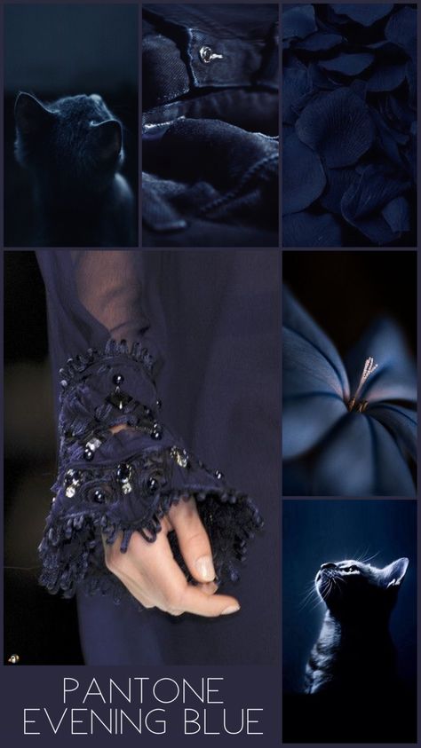 Midnight Blue Mood Board, Future Dusk Fashion, Midnight Blue Pantone, Midnight Blue Color Palette, Color Knowledge, Pantone Palette, Color Design Inspiration, Midnight Blue Color, Color Schemes Colour Palettes