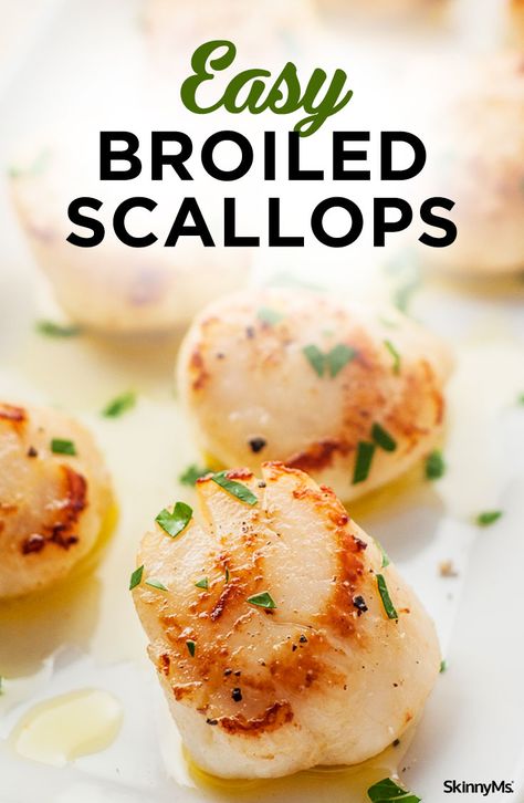 Healthy Scallop Recipes, Broiled Scallops Recipe, Broiled Scallops, Scallop Recipes Healthy, Easy Scallop Recipes, Baked Scallops, Game Recipes, Seafood Platter, Scallop Recipes