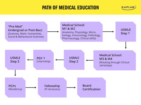 How Long Does It Take to Become a Doctor? - Kaplan Test Prep How To Become Doctor, How To Become A Doctor, Doctor Education, Medicine School, Become A Doctor, Care Symbol, Avengers Drawings, What To Study, School Prep